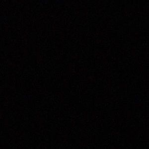 Meet your Posher, Chaz